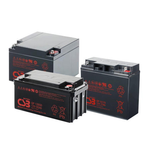 Batterie per UPS